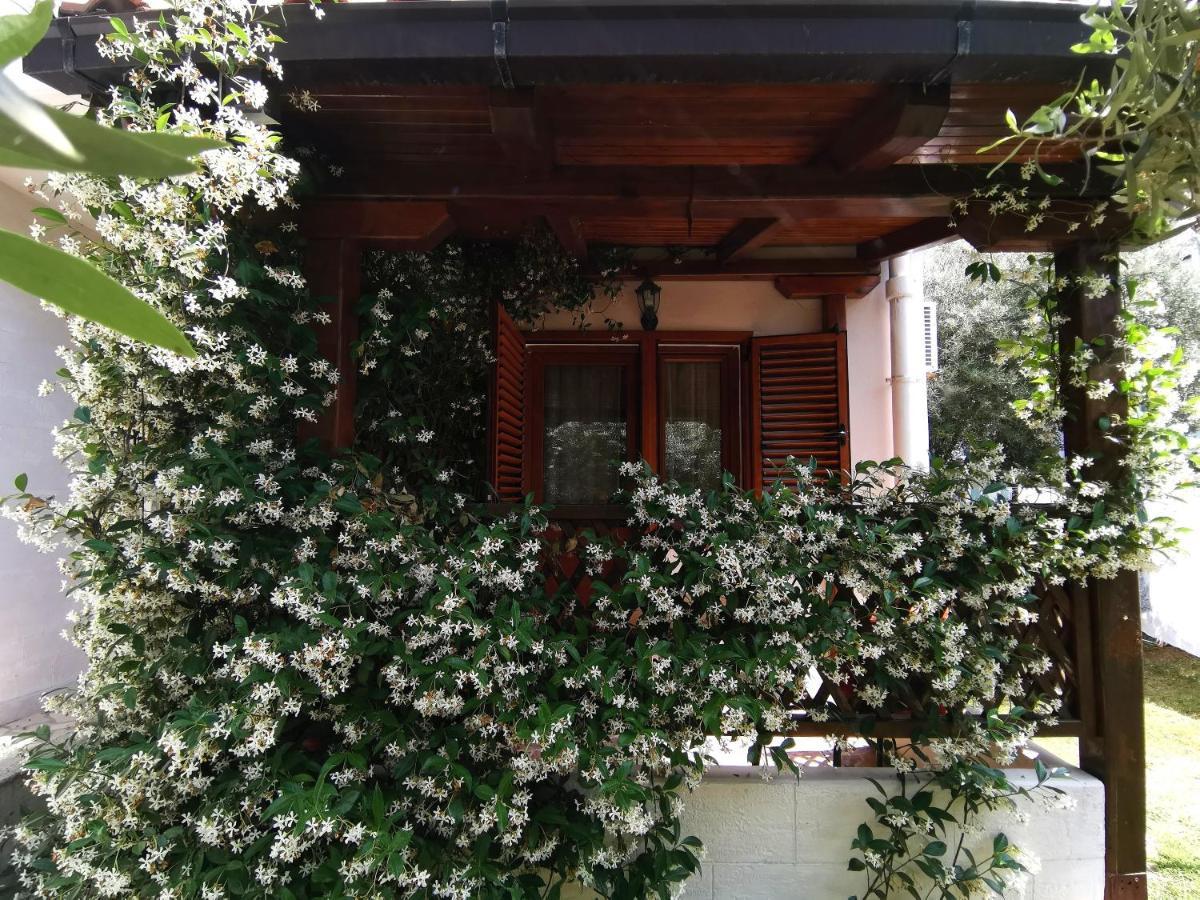 Apartments Maris Garden Петровац Экстерьер фото