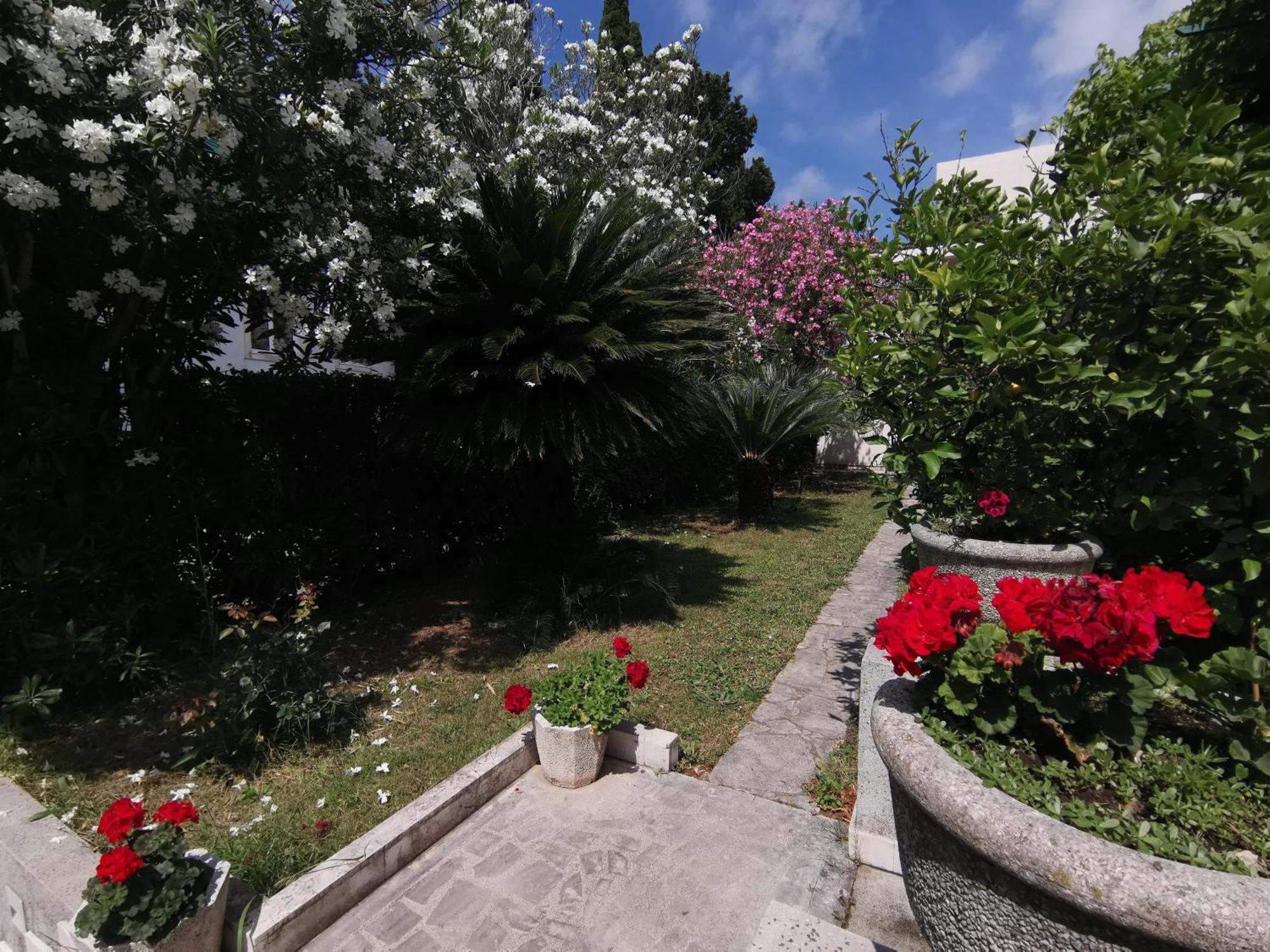 Apartments Maris Garden Петровац Экстерьер фото