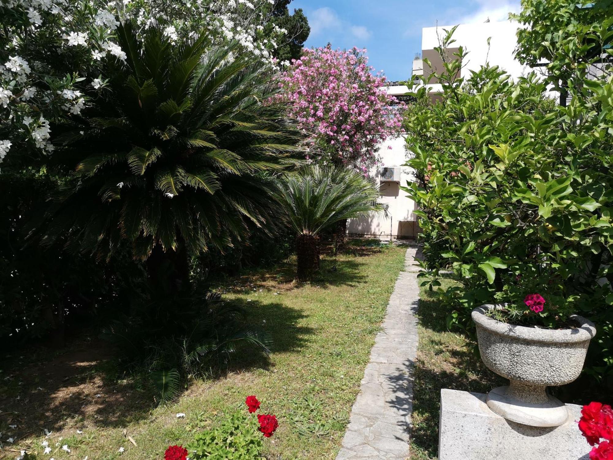 Apartments Maris Garden Петровац Экстерьер фото
