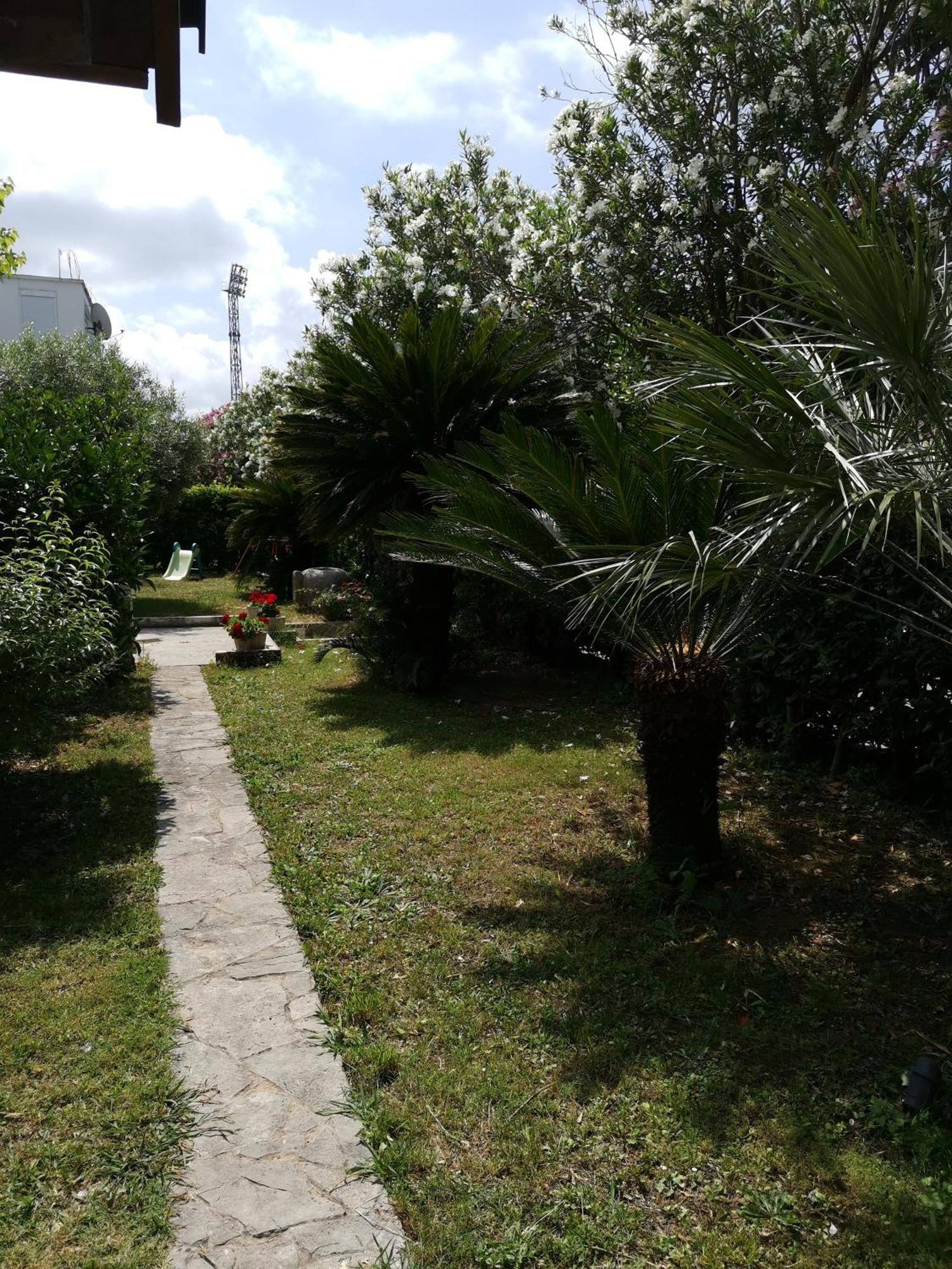 Apartments Maris Garden Петровац Экстерьер фото